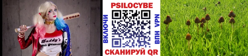 Купить  Темников  Псилоцибиновые грибы ЛСД 