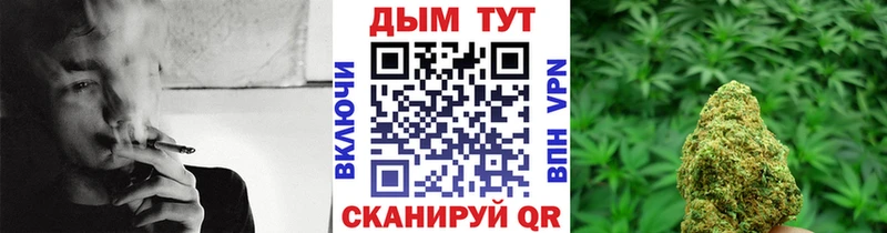 Шишки марихуана Ganja  Купить закладки  Темников 